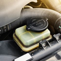 Power Steering & Brake Fluids