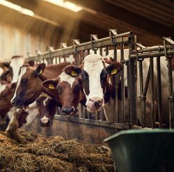 Bait, Traps & Premise Products