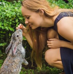 Small Animal Food & Treats
