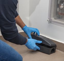 Animal & Rodent Control
