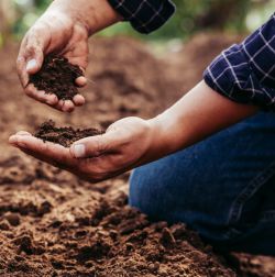 Soil Amendments