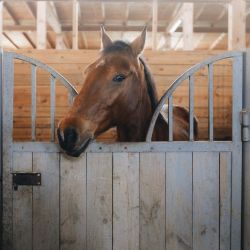 Stall Mats & Stall Equipment