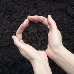 Top Soil