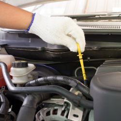 Hydraulic & Transmission Fluids