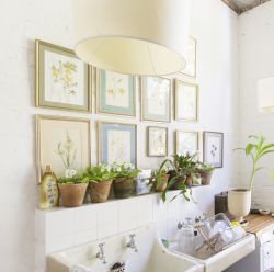 Wall Decor & Mirrors