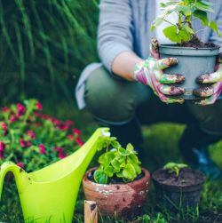 Watering Supplies