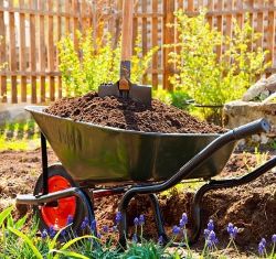 Wheelbarrows & Garden Carts