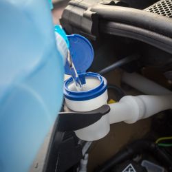 Windshield Washer Fluids