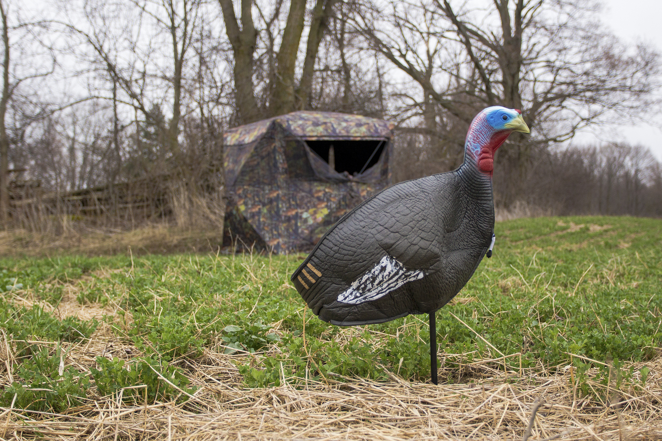 Hunting Decoys