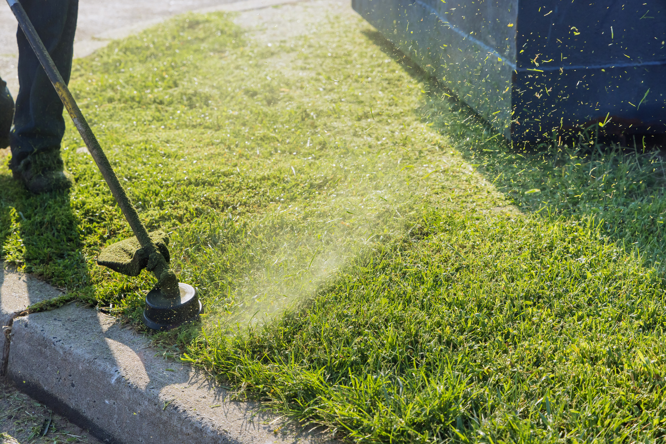 Weed & Brush Cutters
