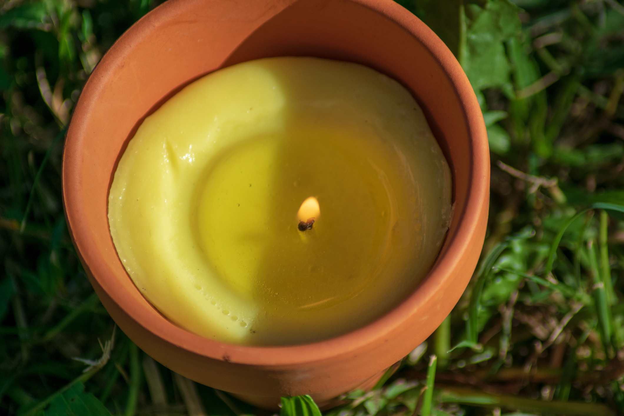 Citronella Candles & Oils