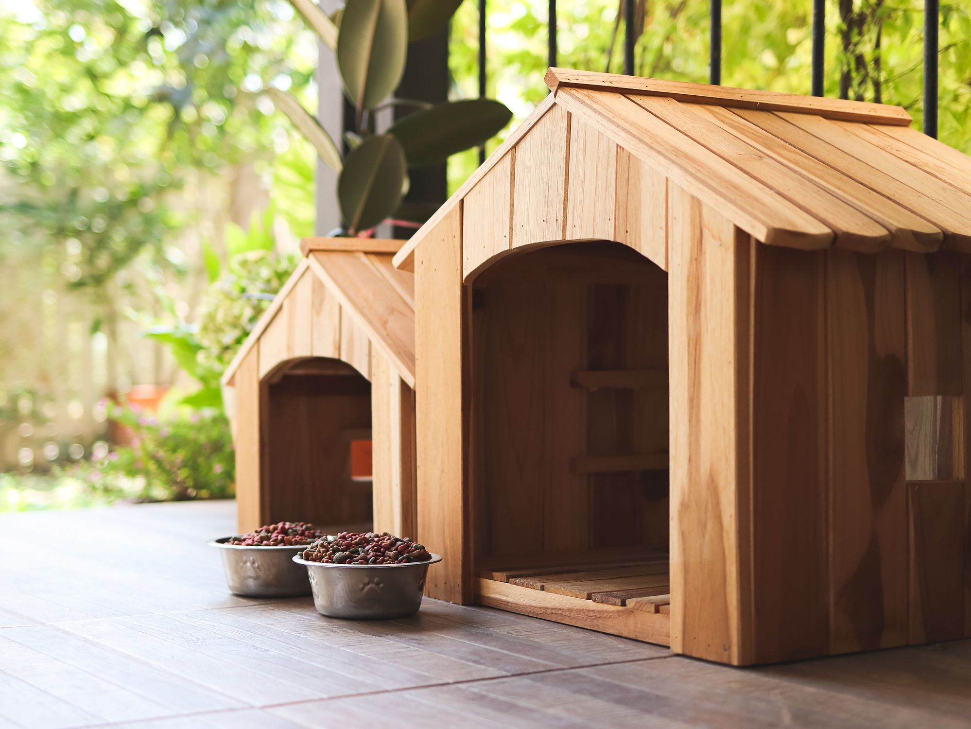 Dog Houses & Doors
