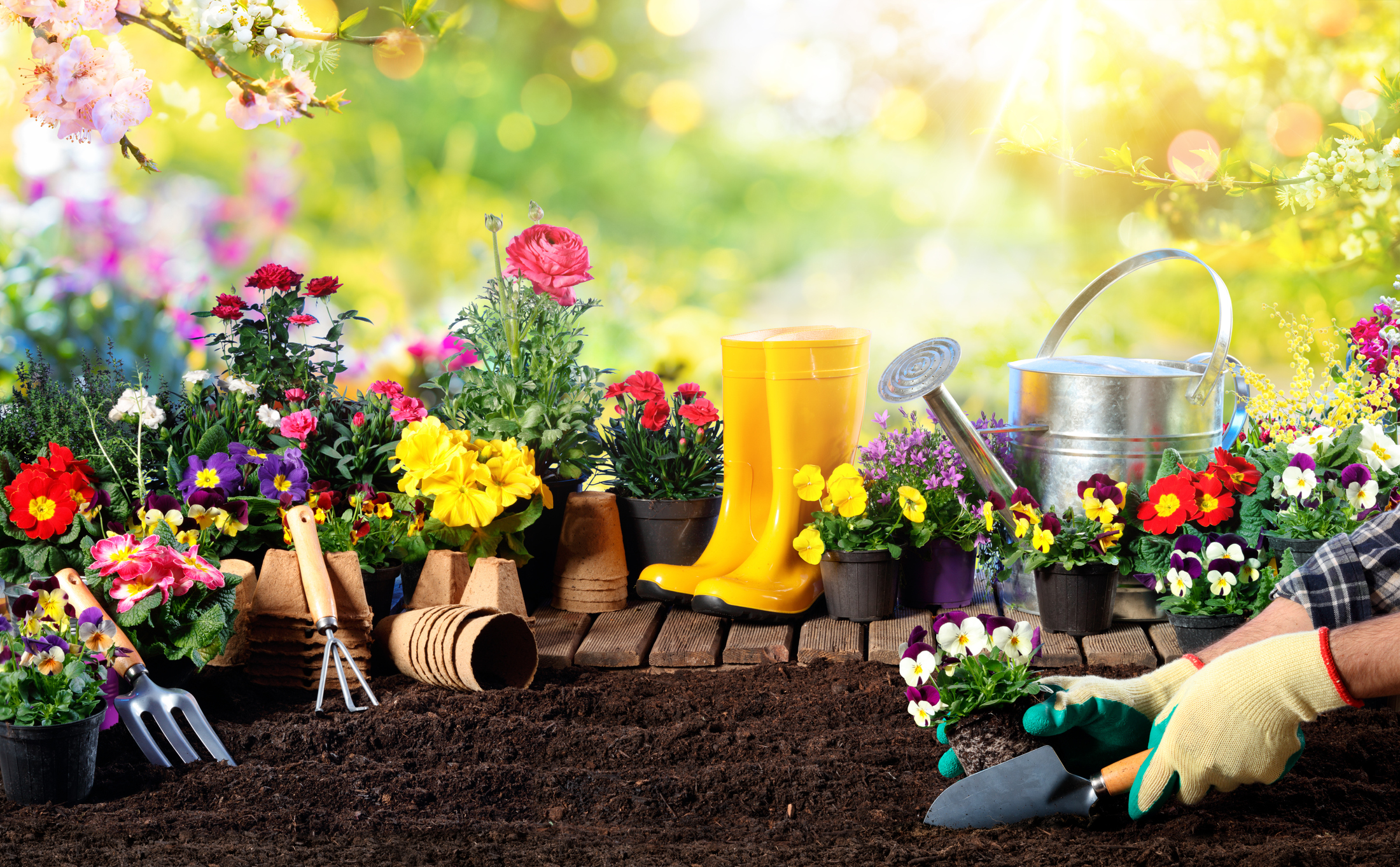 Specialty Garden Accessories