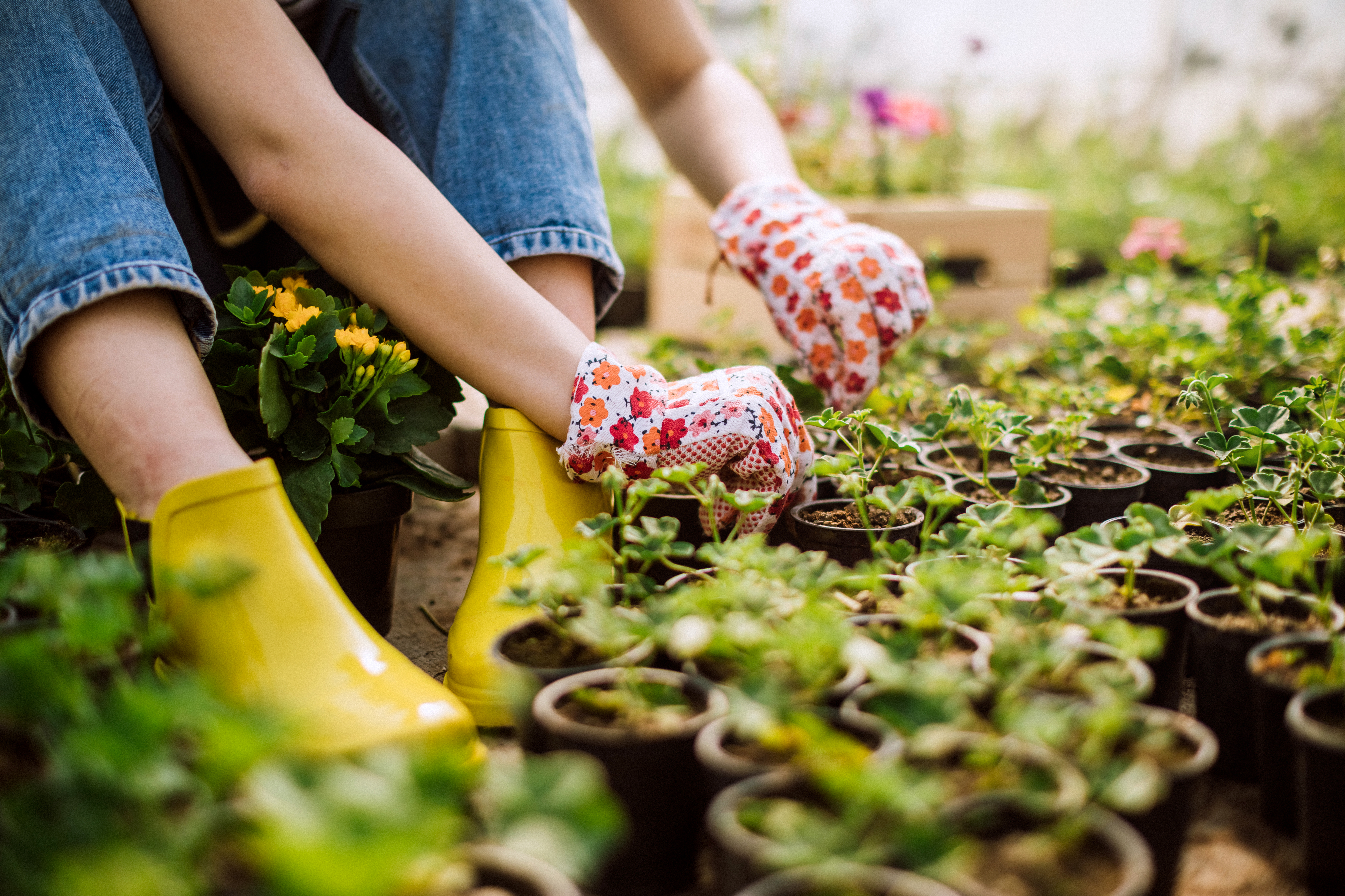 Garden Gloves