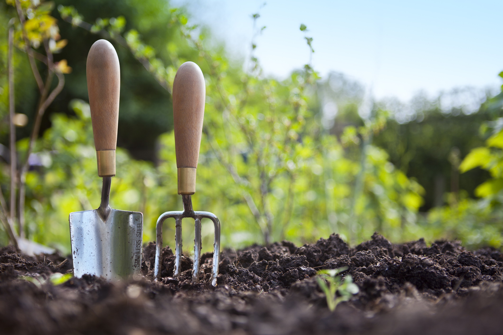 Gardening Tools