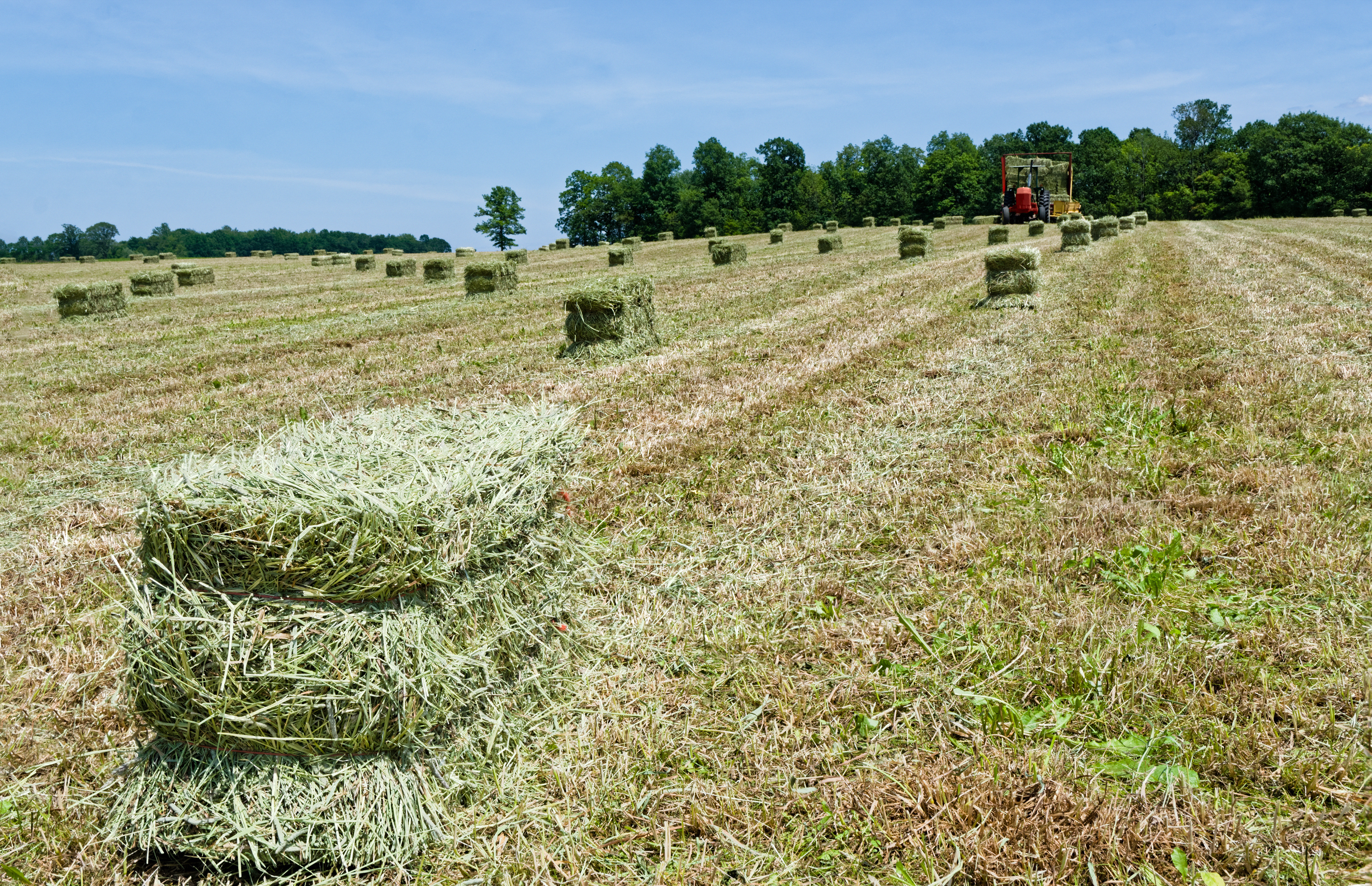 Haying & Bailing Equipment
