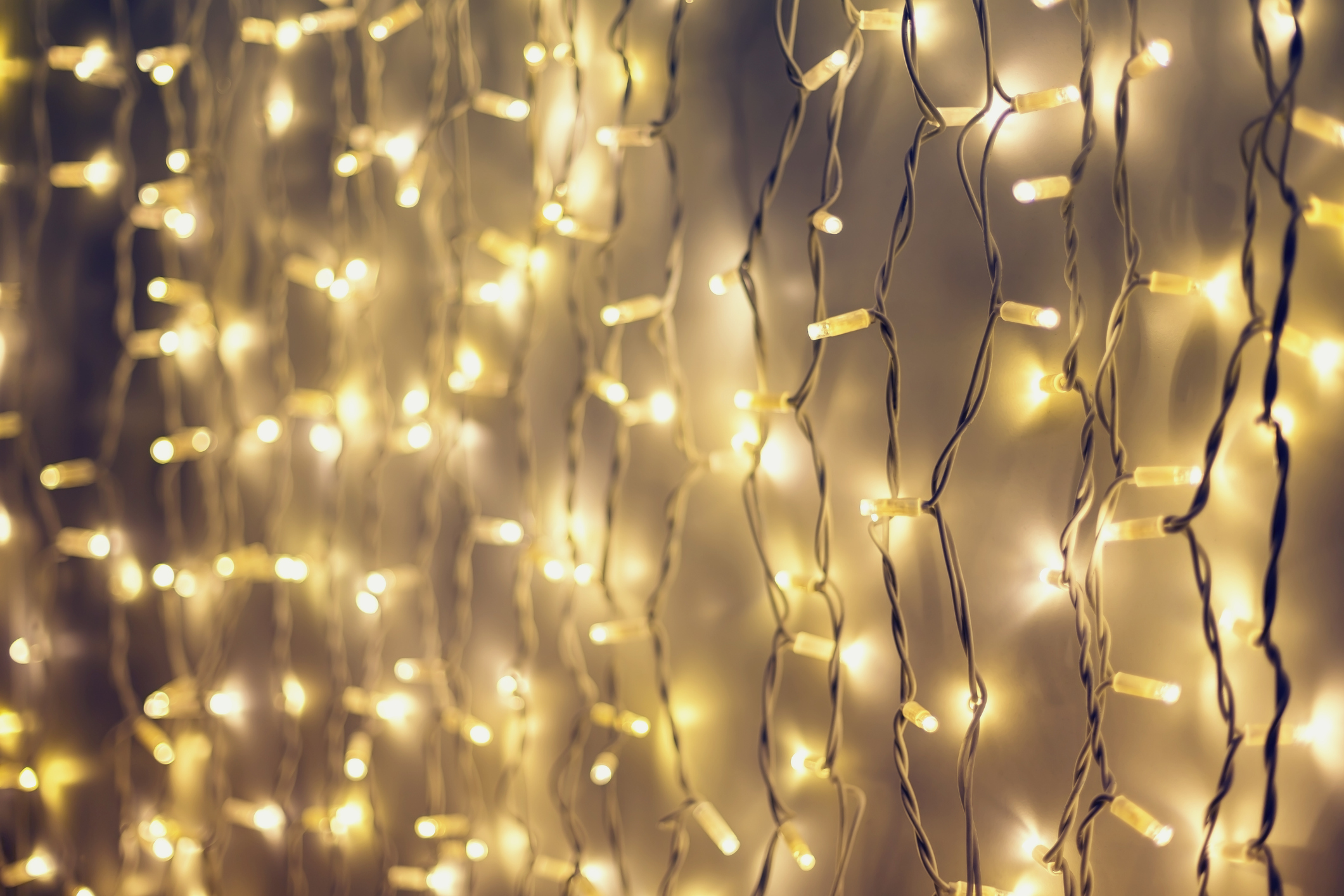 Holiday Lighting & Accessories