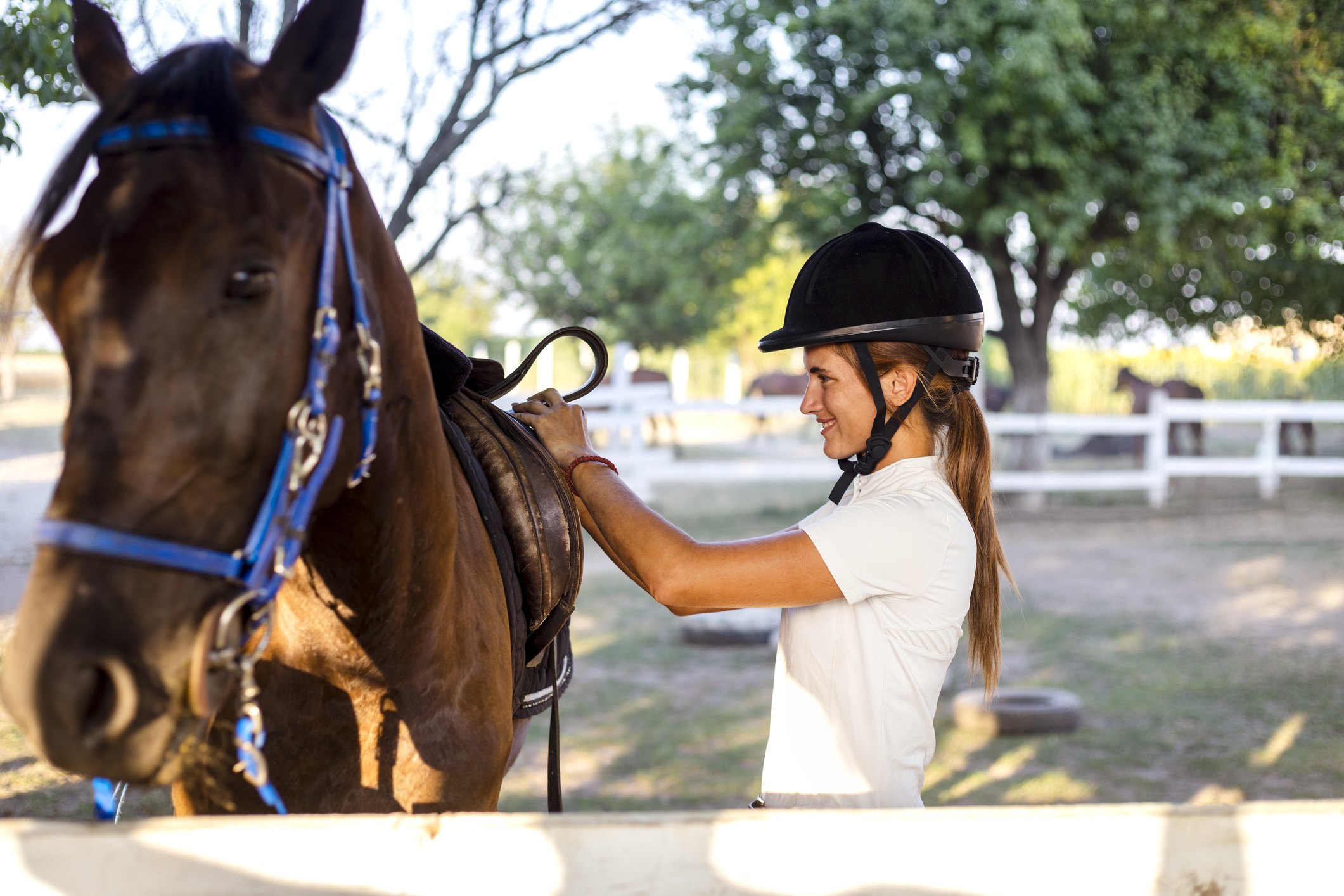Training & Riding Gear