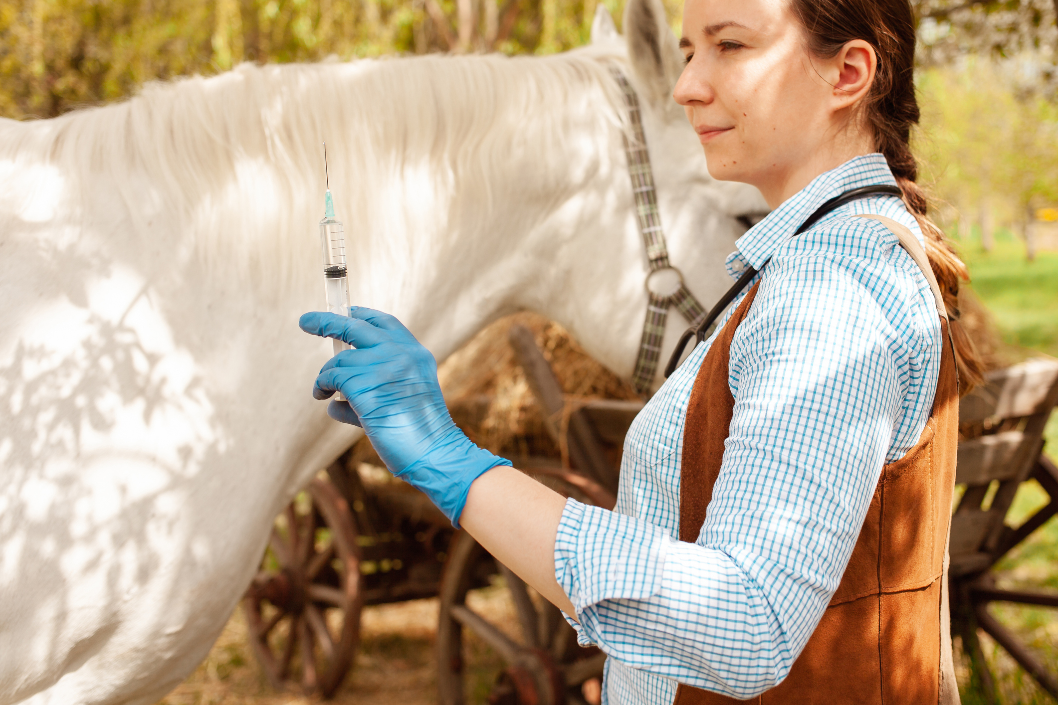 Equine Vaccinations