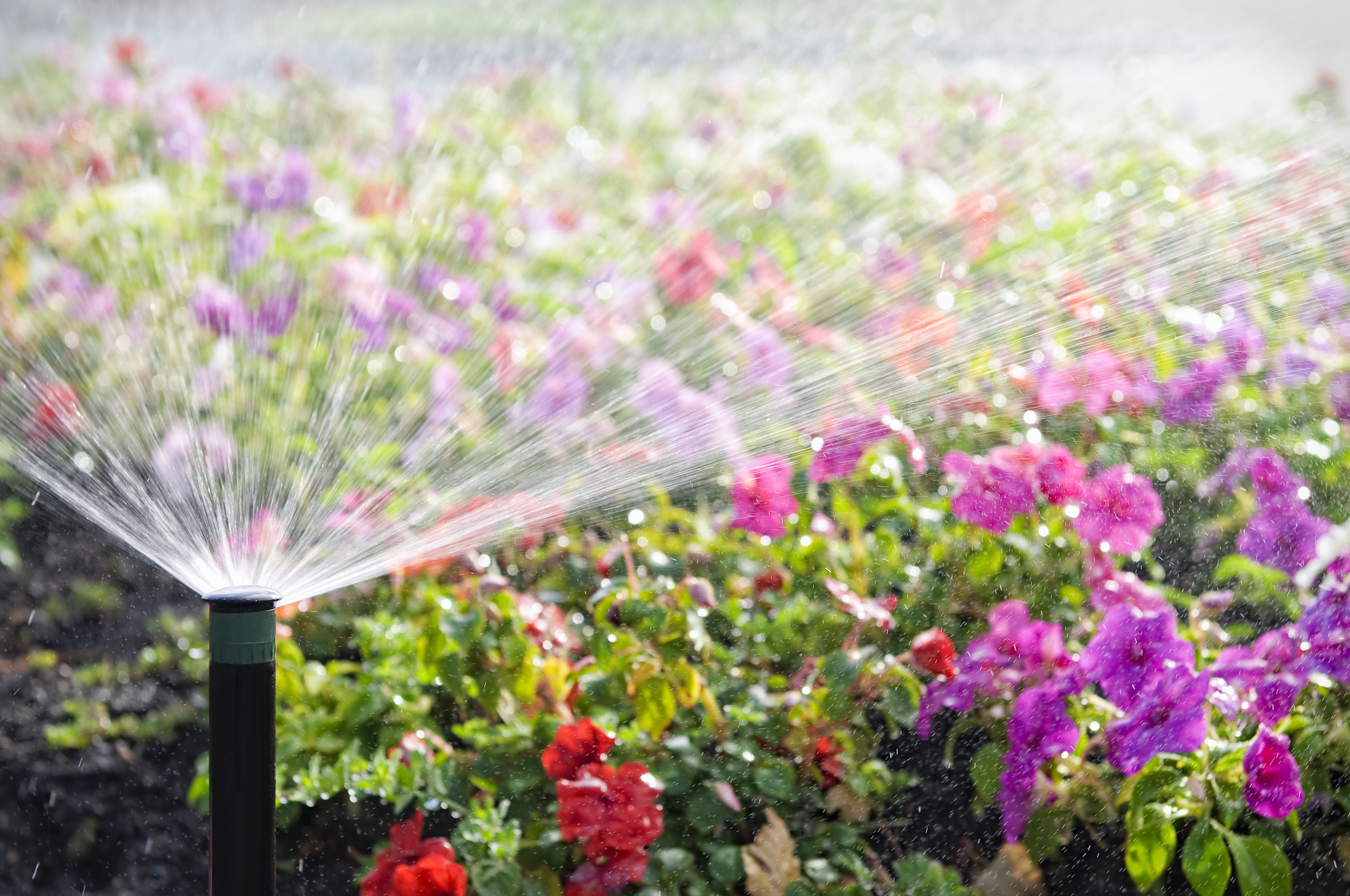Watering & Irrigation