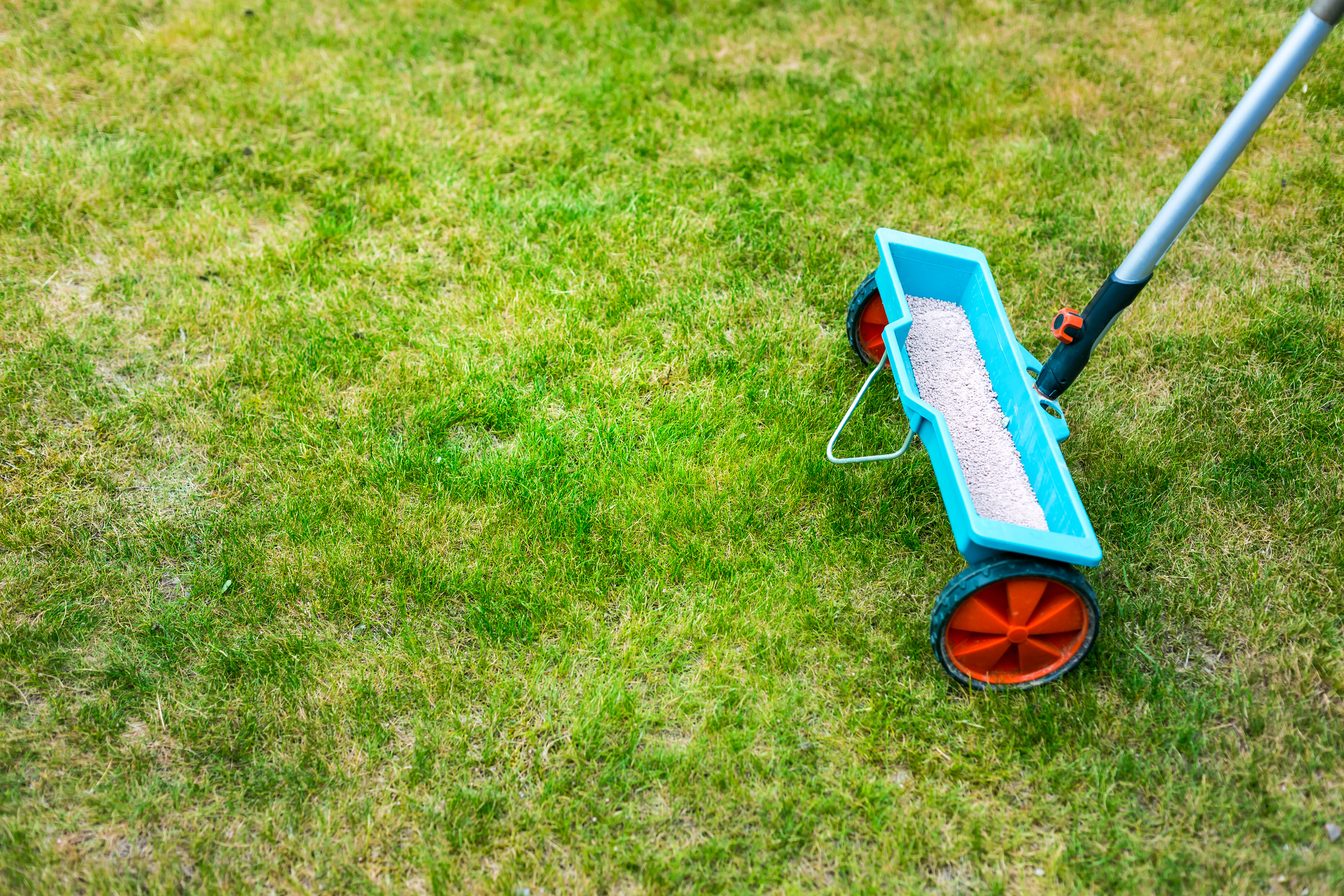 Applicators & Spreaders