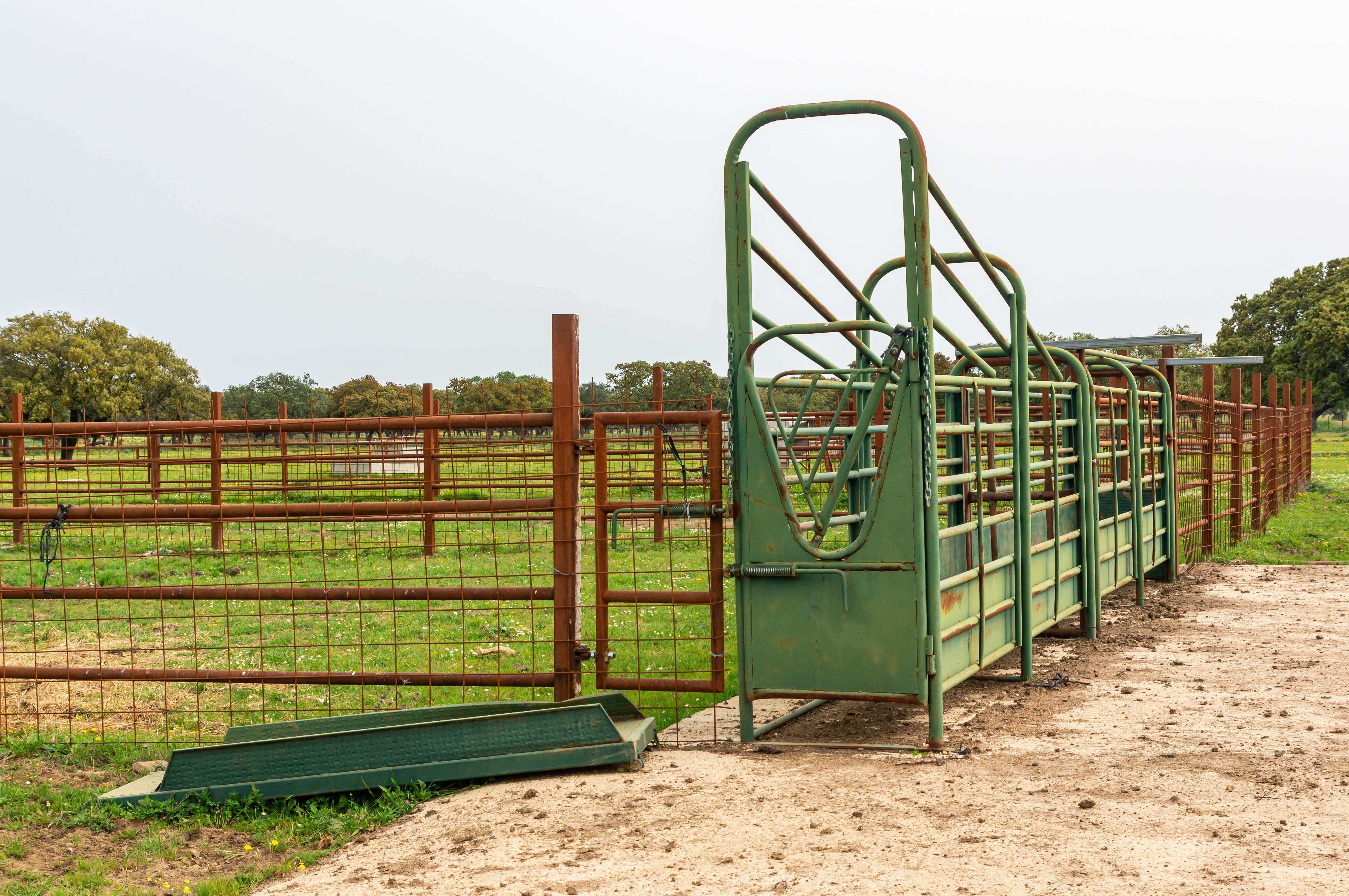 Livestock Handling Equipment