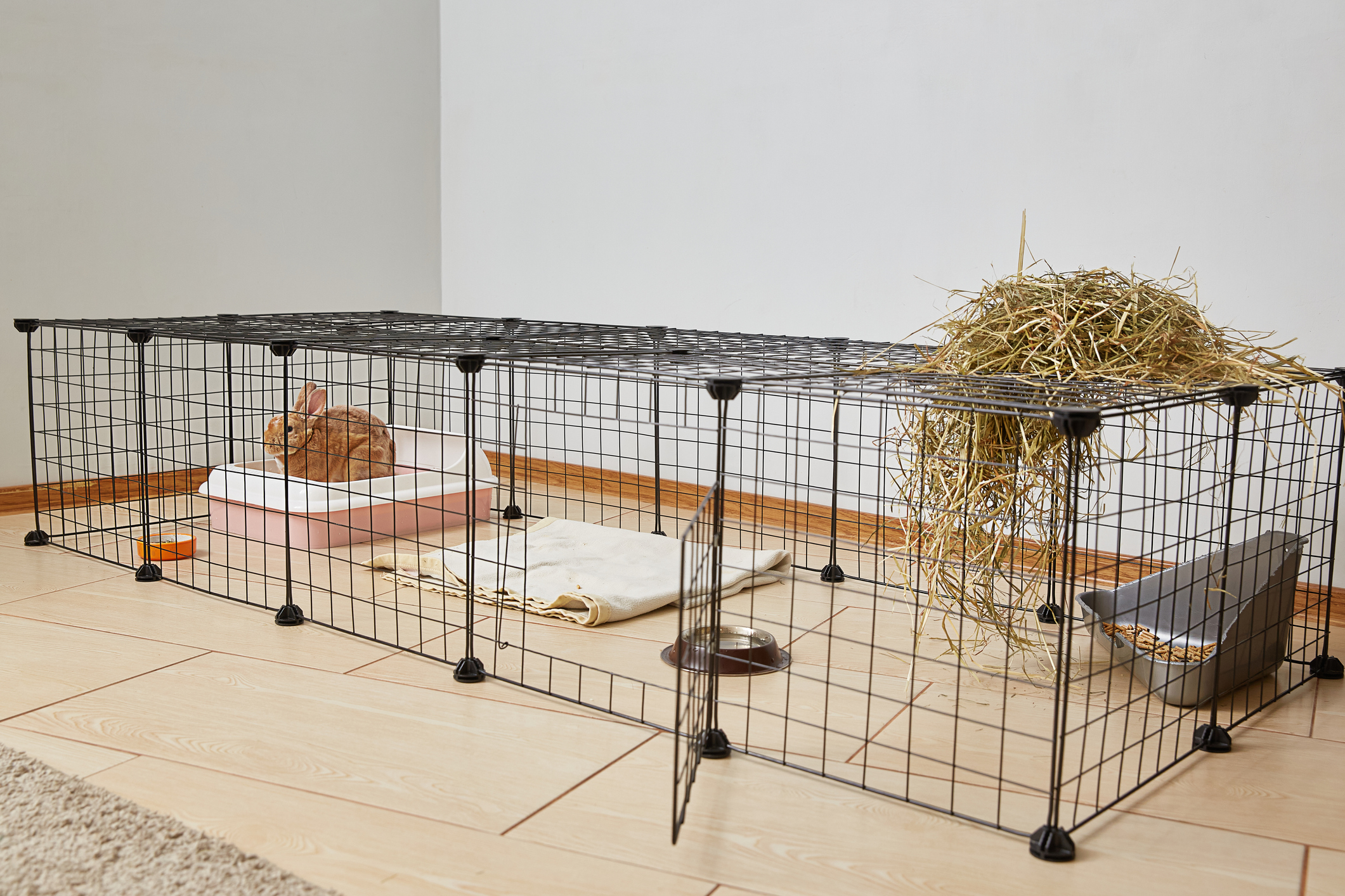 Small Pet Cages, Hutches, & Carriers