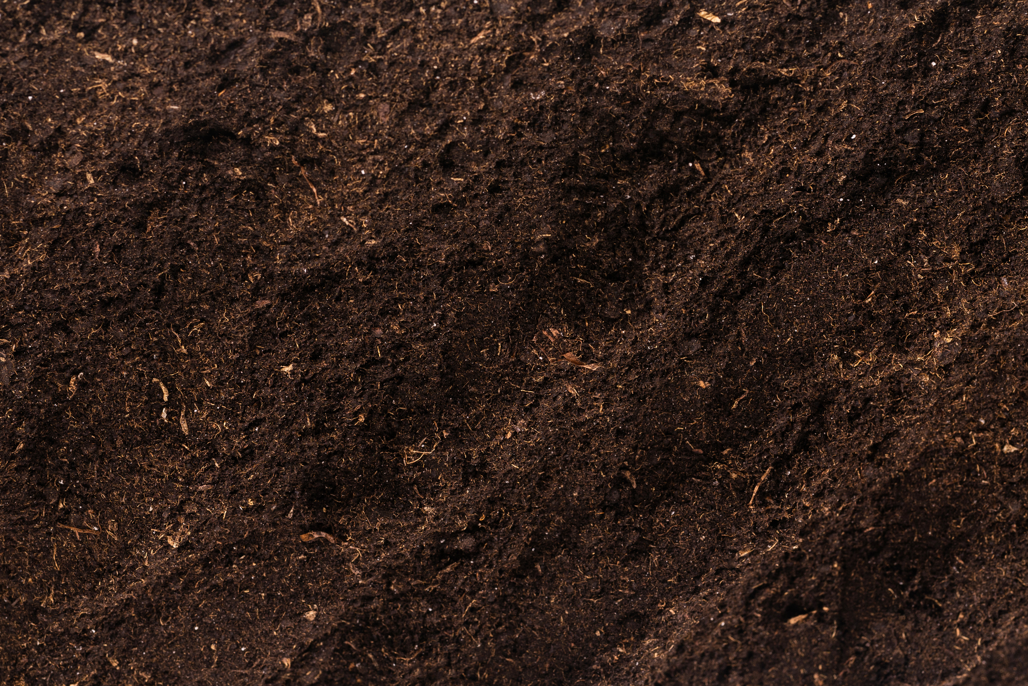Soil