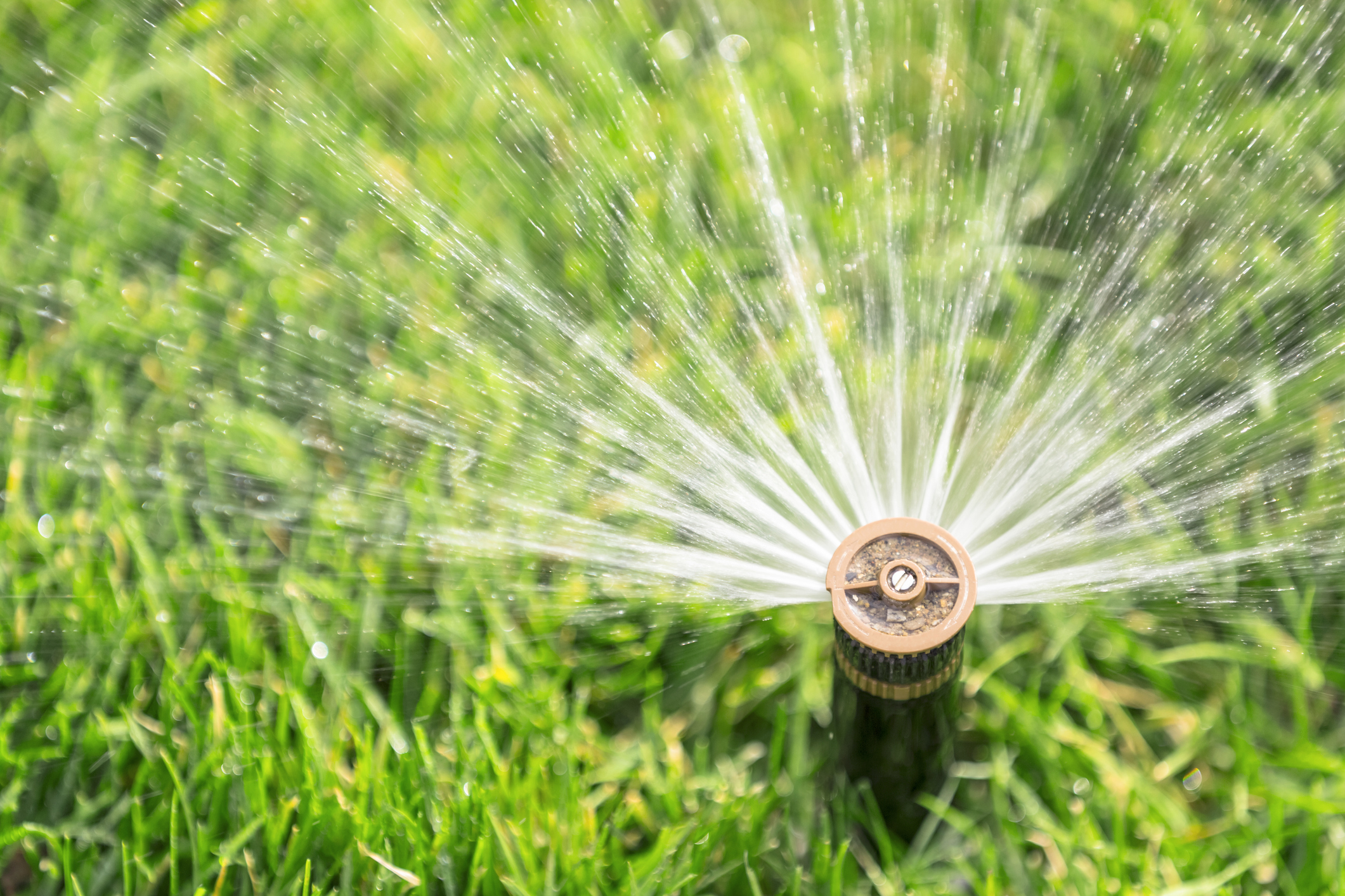 Sprinklers & Accessories