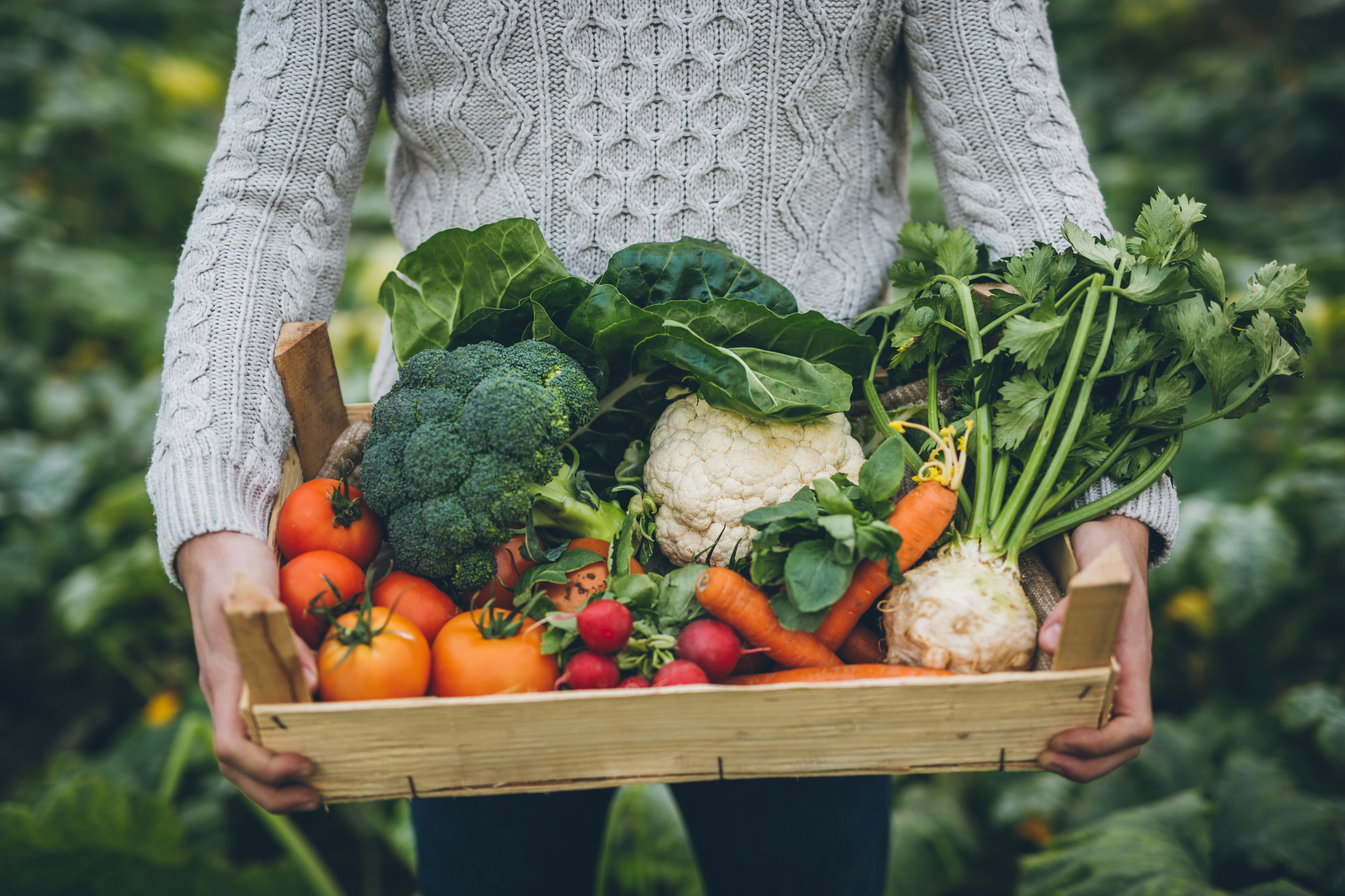 Vegetable Seeds & Bulbs