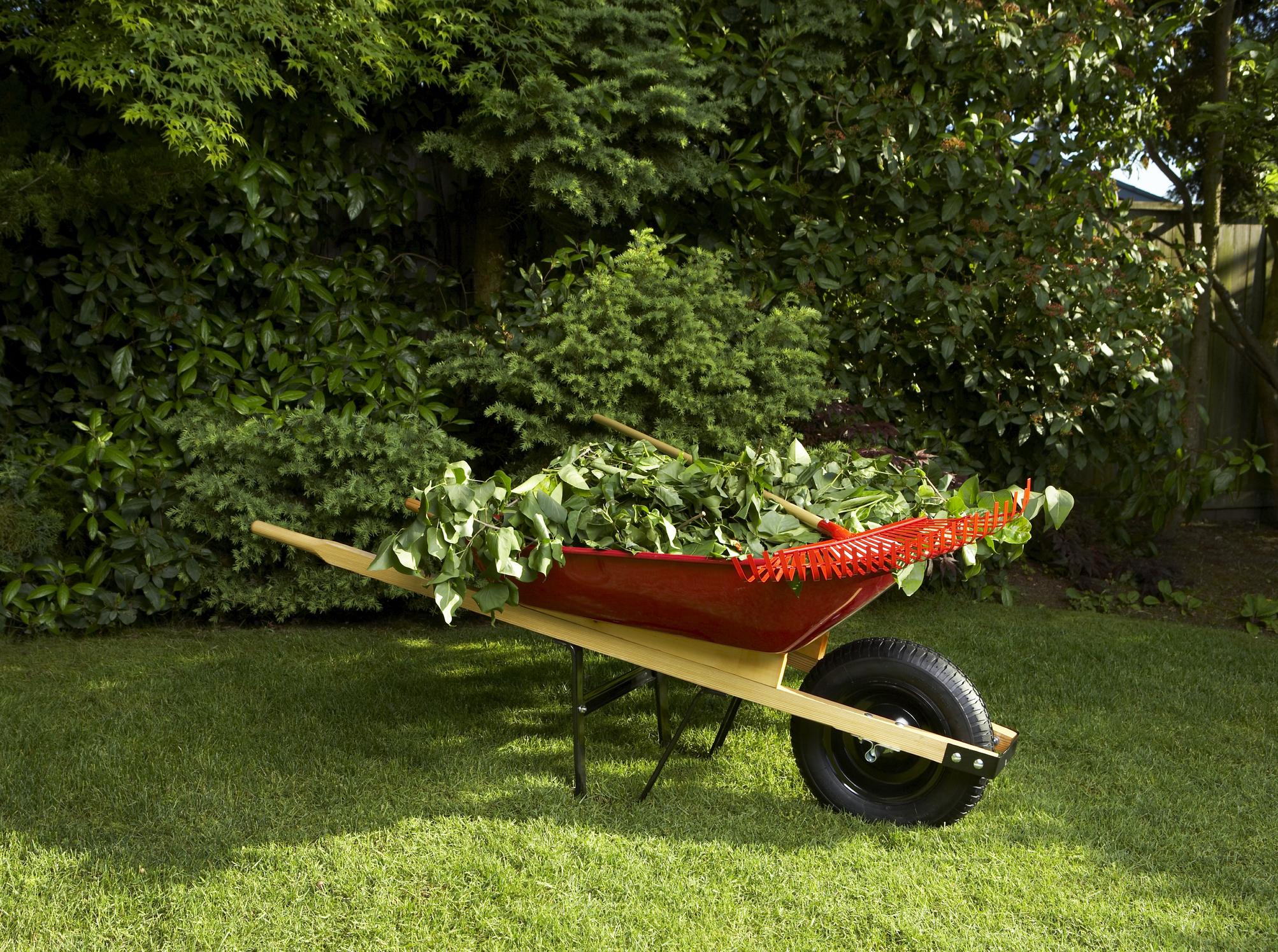 Wheelbarrows & Parts