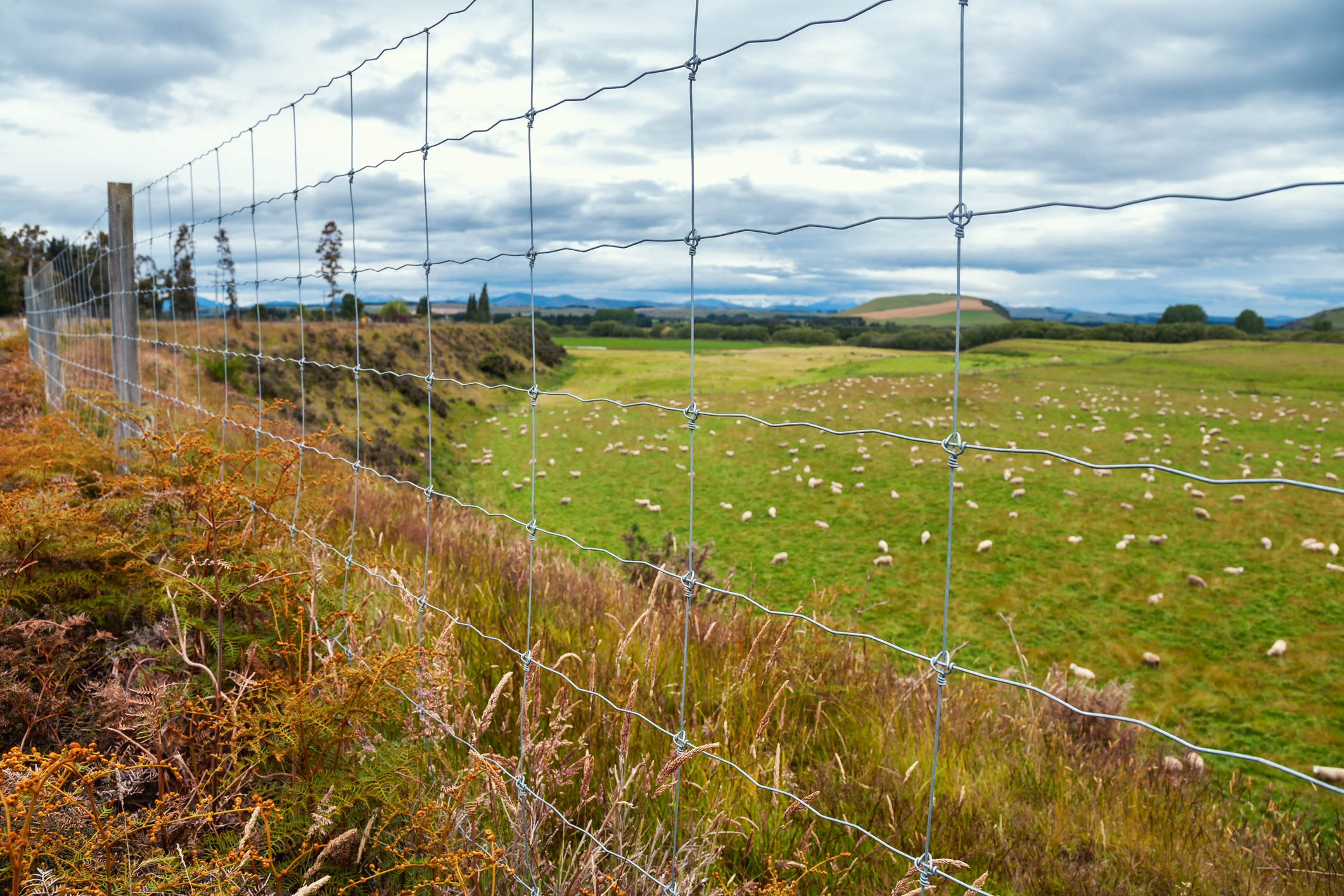 Wire Fencing