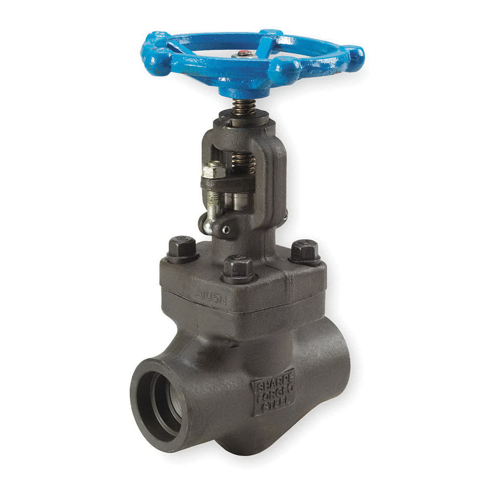 Forged Steel Globe Valves