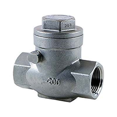 Stainless Steel Check Valves