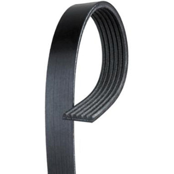 Serpentine Belts