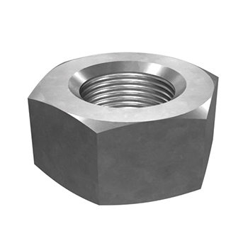 Hex Nuts