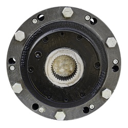 HPM 598713