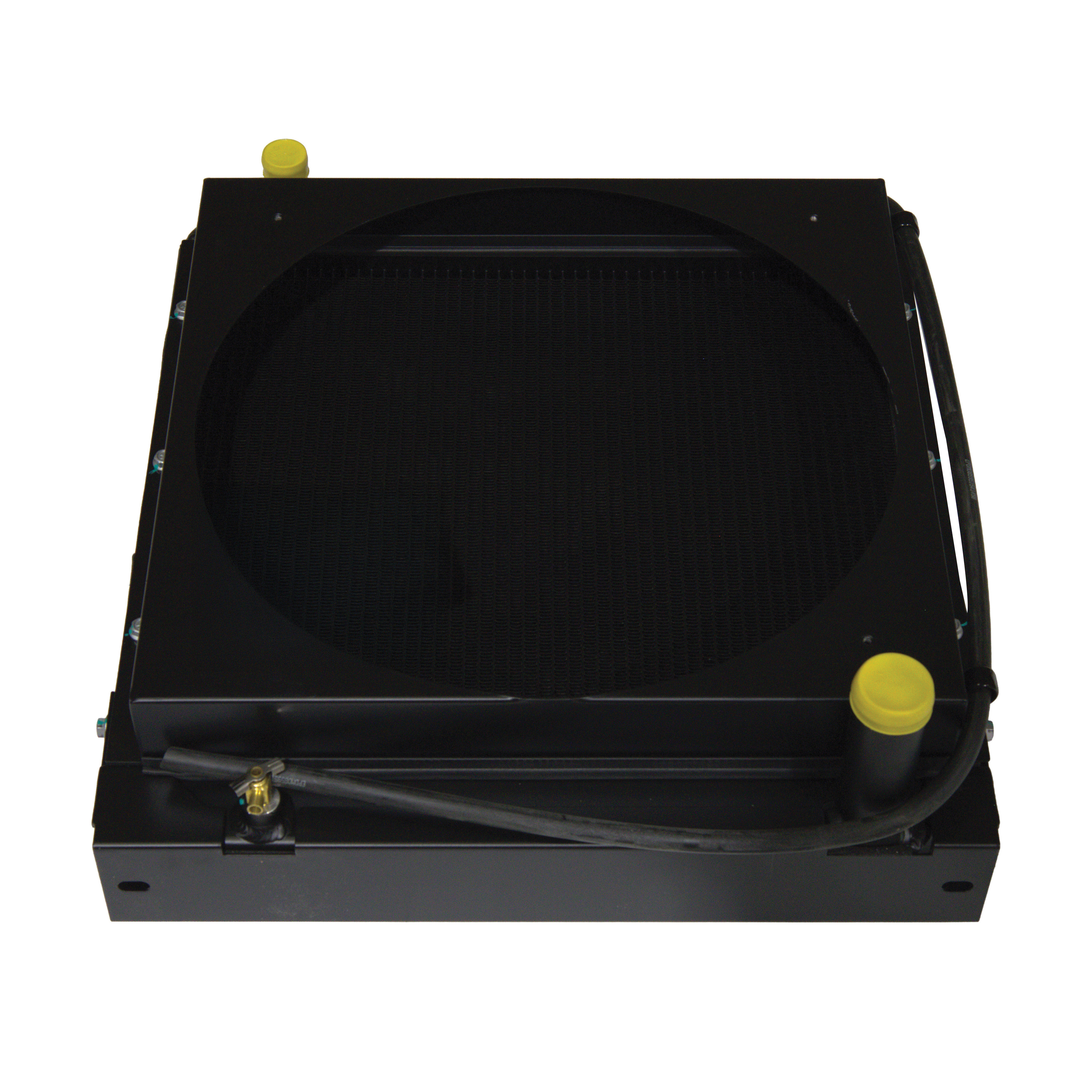 Bandit 1225954