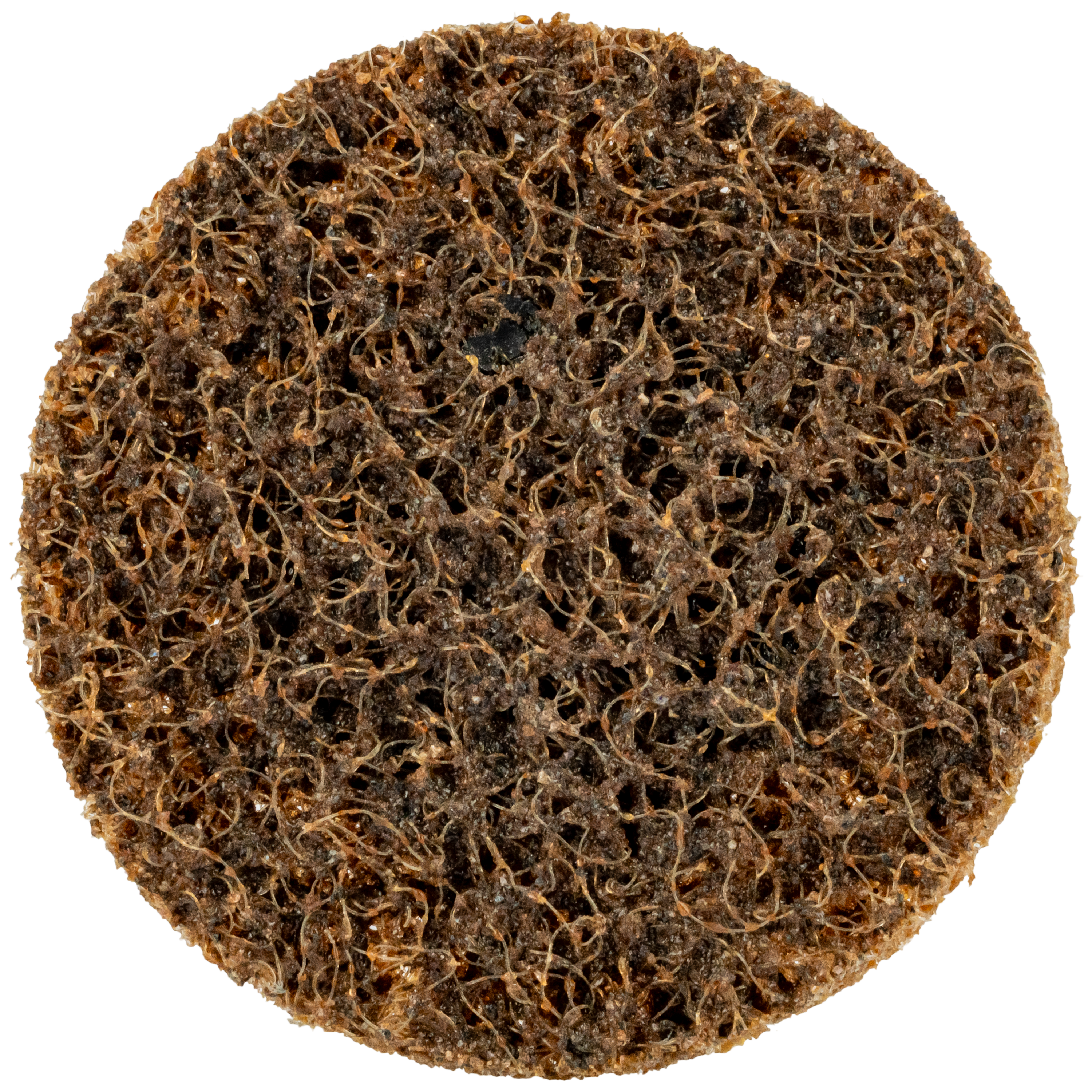 Non-Woven Quick Change Discs